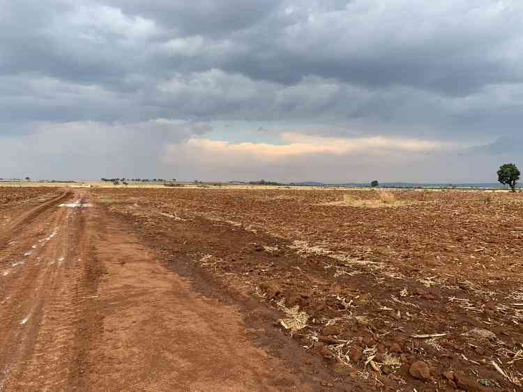 terreno en venta snb los altos de jalisco zapotlanejo jalisco pFsWkLF