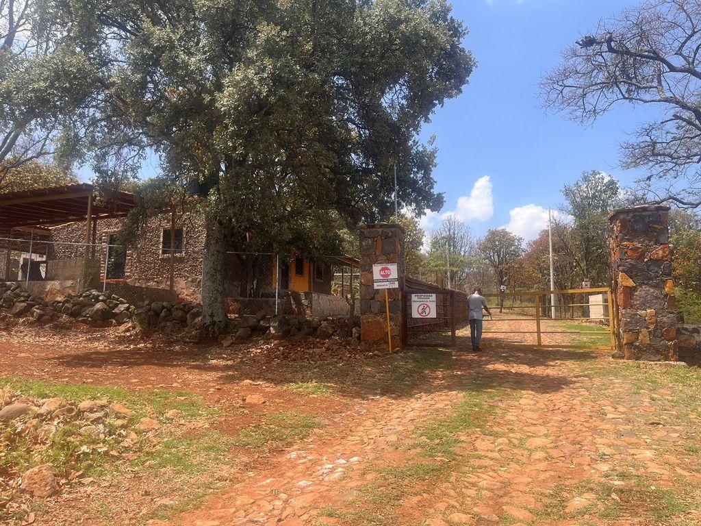 Foto de la galeria de imagenes